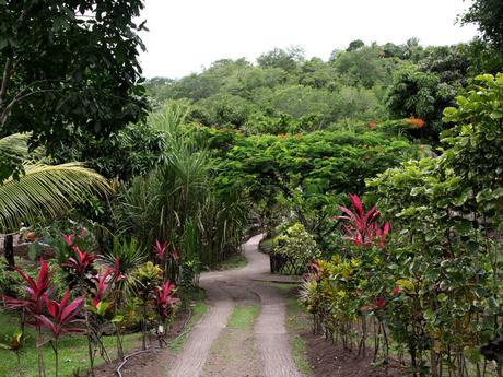 Evasion en Martinique…