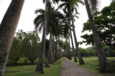 Evasion en Martinique…