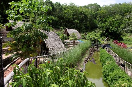 Evasion en Martinique…