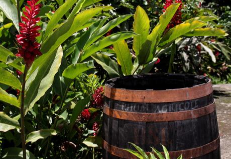 Evasion en Martinique…