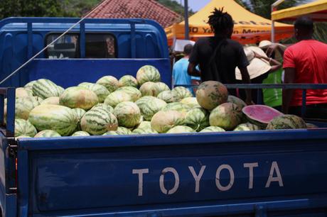 Evasion en Martinique…