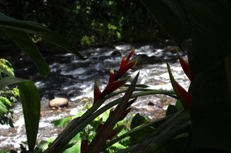 Evasion en Martinique…