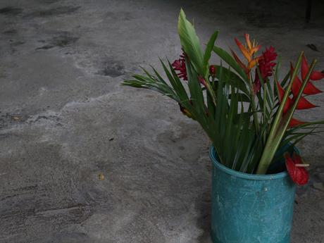 Evasion en Martinique…