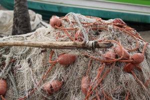 Evasion en Martinique…