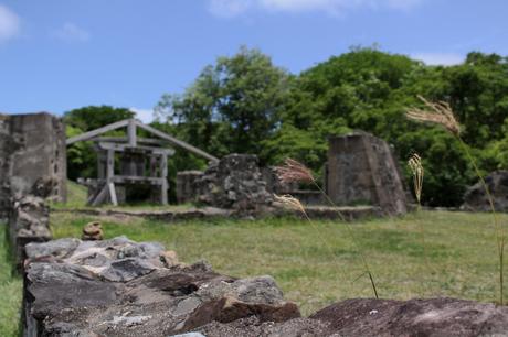 Evasion en Martinique…