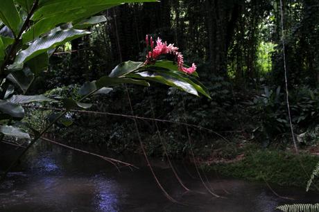 Evasion en Martinique…