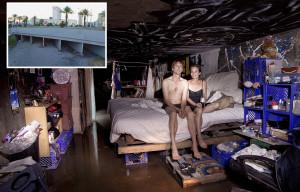 Bière artisanale – Une entreprise canadienne de boissons alcoolisées espère lancer une bière à base de cannabis en Irlande
 – Malt