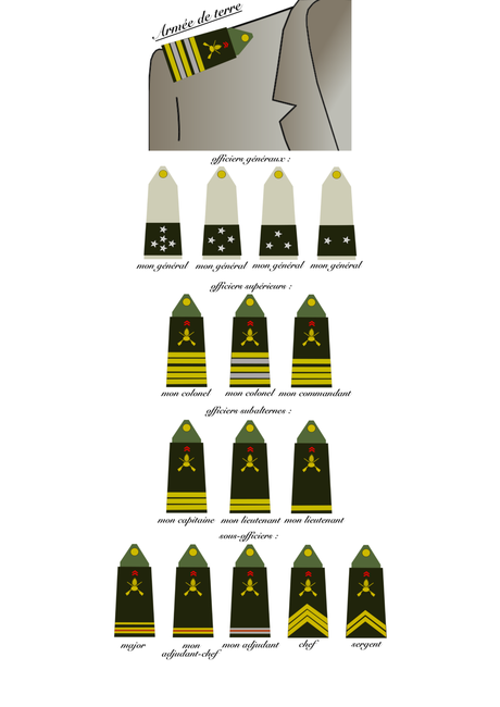 formule de politesse pour un colonel