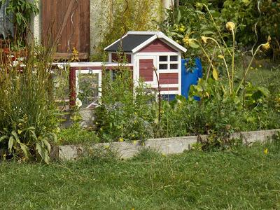 Quelques photos du jardin 20 août 2019 Quelques photos du jardin 20 août 2019