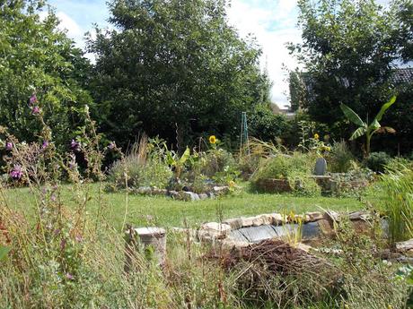 Quelques photos du jardin 20 août 2019