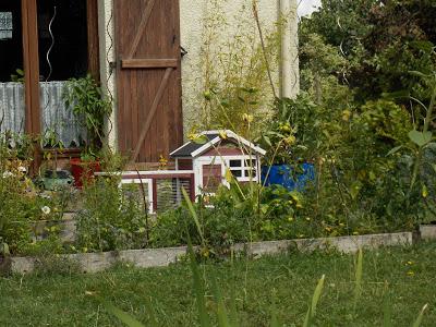 Quelques photos du jardin 20 août 2019 Quelques photos du jardin 20 août 2019