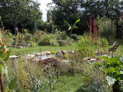 Quelques photos du jardin 20 août 2019 Quelques photos du jardin 20 août 2019