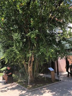 667_ Périple 2019_15_ Kastoria_ GRÈCE_ Mercredi 21 08 2019 667_ Périple 2019_15_ Kastoria_ GRÈCE_ Mercredi 21 08 2019