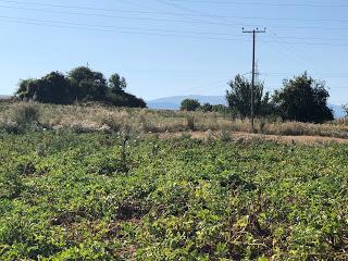 667_ Périple 2019_15_ Kastoria_ GRÈCE_ Mercredi 21 08 2019 667_ Périple 2019_15_ Kastoria_ GRÈCE_ Mercredi 21 08 2019