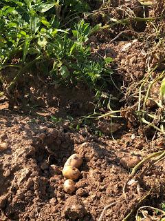 667_  Périple 2019_15_ Kastoria_ GRÈCE_  Mercredi 21 08 2019