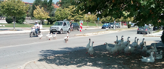 667_  Périple 2019_15_ Kastoria_ GRÈCE_  Mercredi 21 08 2019