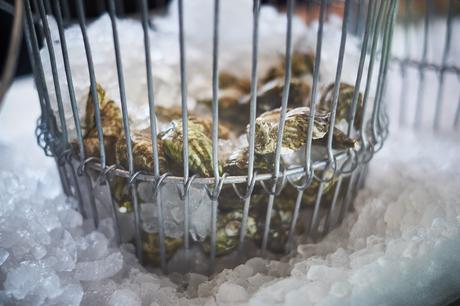 News bière – Offres de travail de 2019 à San Diego
– Bière News bière – Offres de travail de 2019 à San Diego
– Bière