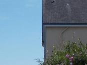 dernière station avant