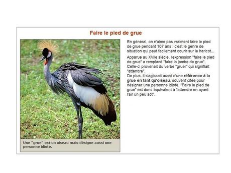 Divers - Expressions 1