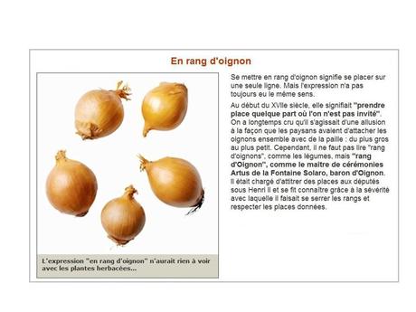 Divers - Expressions 1