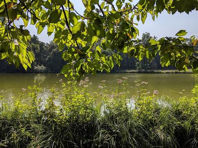 König Ludwigs II Geburtstag - 22 Bilder Nymphenburg Park August 2019
