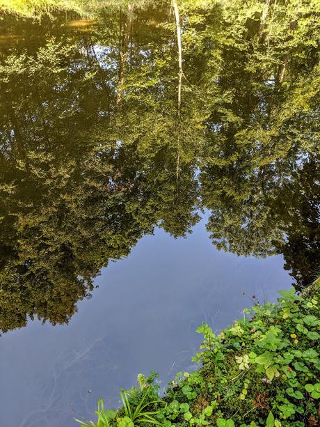 König Ludwigs II Geburtstag - 22 Bilder Nymphenburg Park August 2019