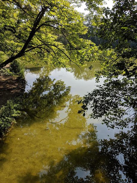 König Ludwigs II Geburtstag - 22 Bilder Nymphenburg Park August 2019