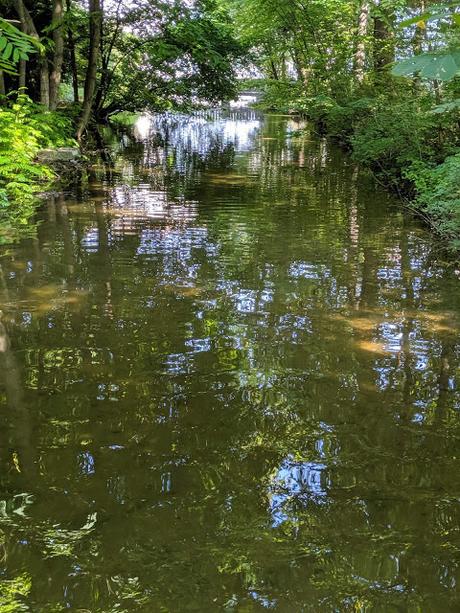 König Ludwigs II Geburtstag - 22 Bilder Nymphenburg Park August 2019