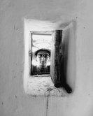 M’hamed Kanour – Frisilis