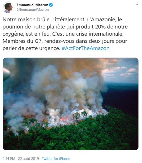 Une Amazonie bien pratique pour la politique idiote de Macron
