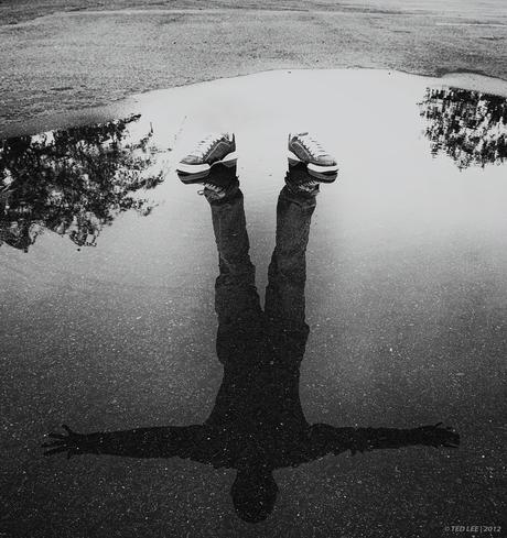 Si Tu N'aimes Vraiment Plus Rien