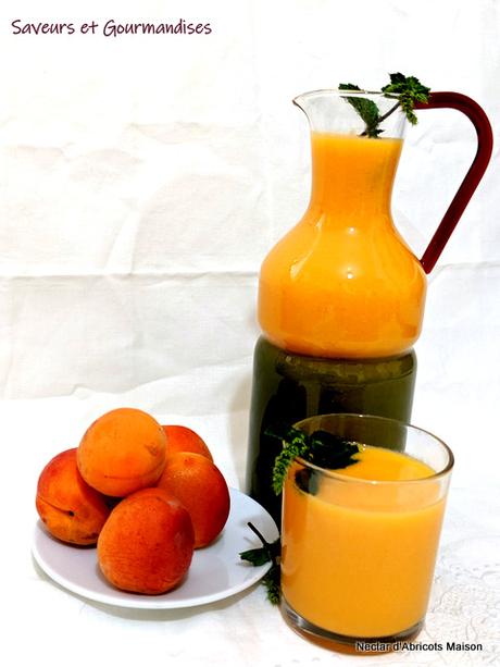 Nectar d’Abricots Maison