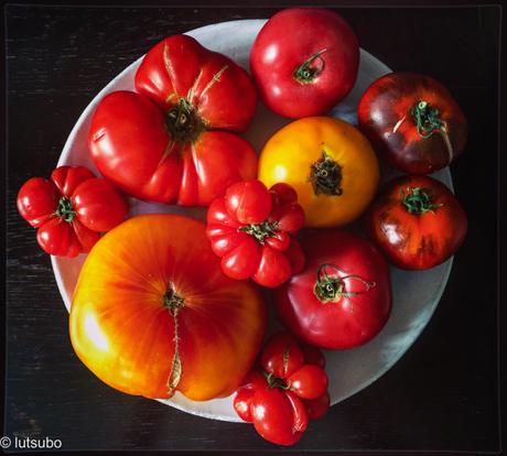 C’est encore l’été… – 10 recettes pour profiter jusqu’au bout des belles tomates de saison !