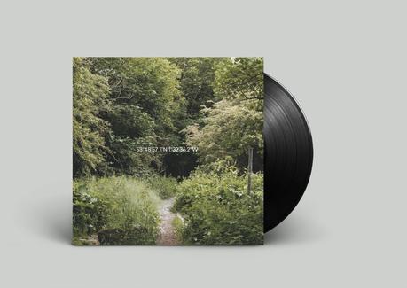 Bière artisanale – Les créatifs du Yorkshire collaborent pour un nouveau lancement de bière expérimental qui éveille tous les sens
 – Houblon