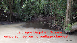 Pendant ce temps-là en Guyane...