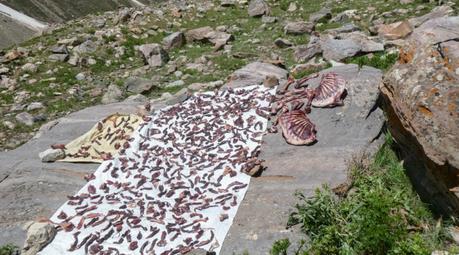 Trek du Pin Parvati pass trek pin parvati