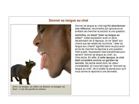 Divers - Expressions 2