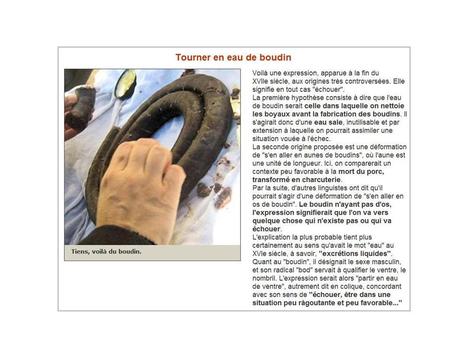 Divers - Expressions 2