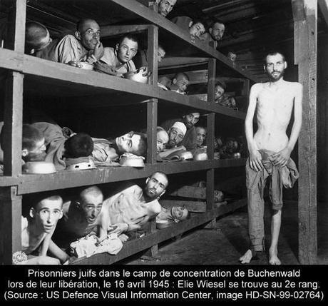 Seconde Guerre mondiale : le début de l’enfer sur Terre