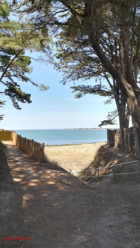 Projet 52-2019 #35 – Vacances Projet 52-2019 #35 – Vacances