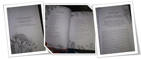 Les Fleurs sauvages de Holly Ringland