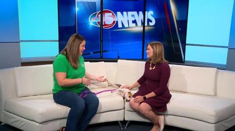 Bière artisanale – Un après-midi de détente pour aider la Green County Humane Society
 – Bière