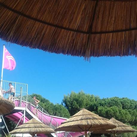 Nos semaines 32 à 35 : Des vacances au soleil dans le Languedoc Roussillon