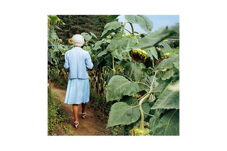 SHERON RUPP – TAKEN FROM MEMORY