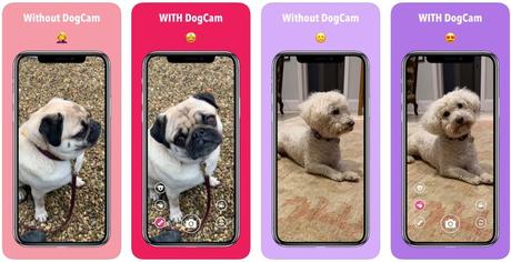 App du jour : DogCam – Dog Selfie Camera (iPhone & iPad – gratuit)