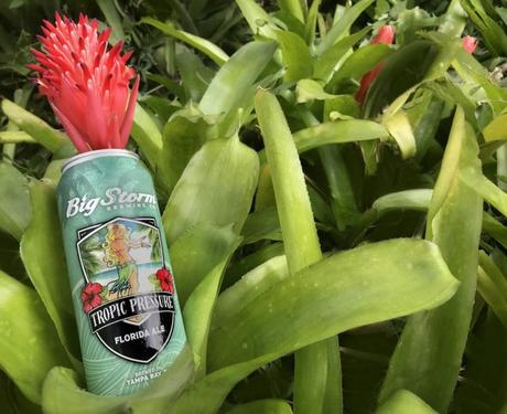 Info bière – Green Flash revient sur la côte est, Bells fait un changement à Washington, Big Storm en Ohio, Dogfish en Miss. Et bien d’autres
 – Bière brune