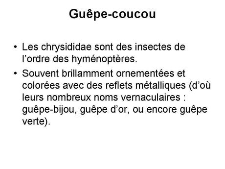 Divers - animaux aux couleurs improbables - 1