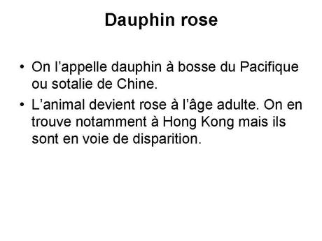 Divers - animaux aux couleurs improbables - 1