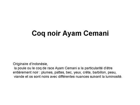 Divers - animaux aux couleurs improbables - 1