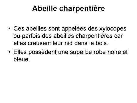 Divers - animaux aux couleurs improbables - 1